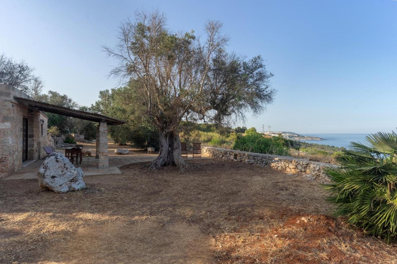 Levante E Libeccio Villette Vista Mare - Marina Di Андрано Экстерьер фото